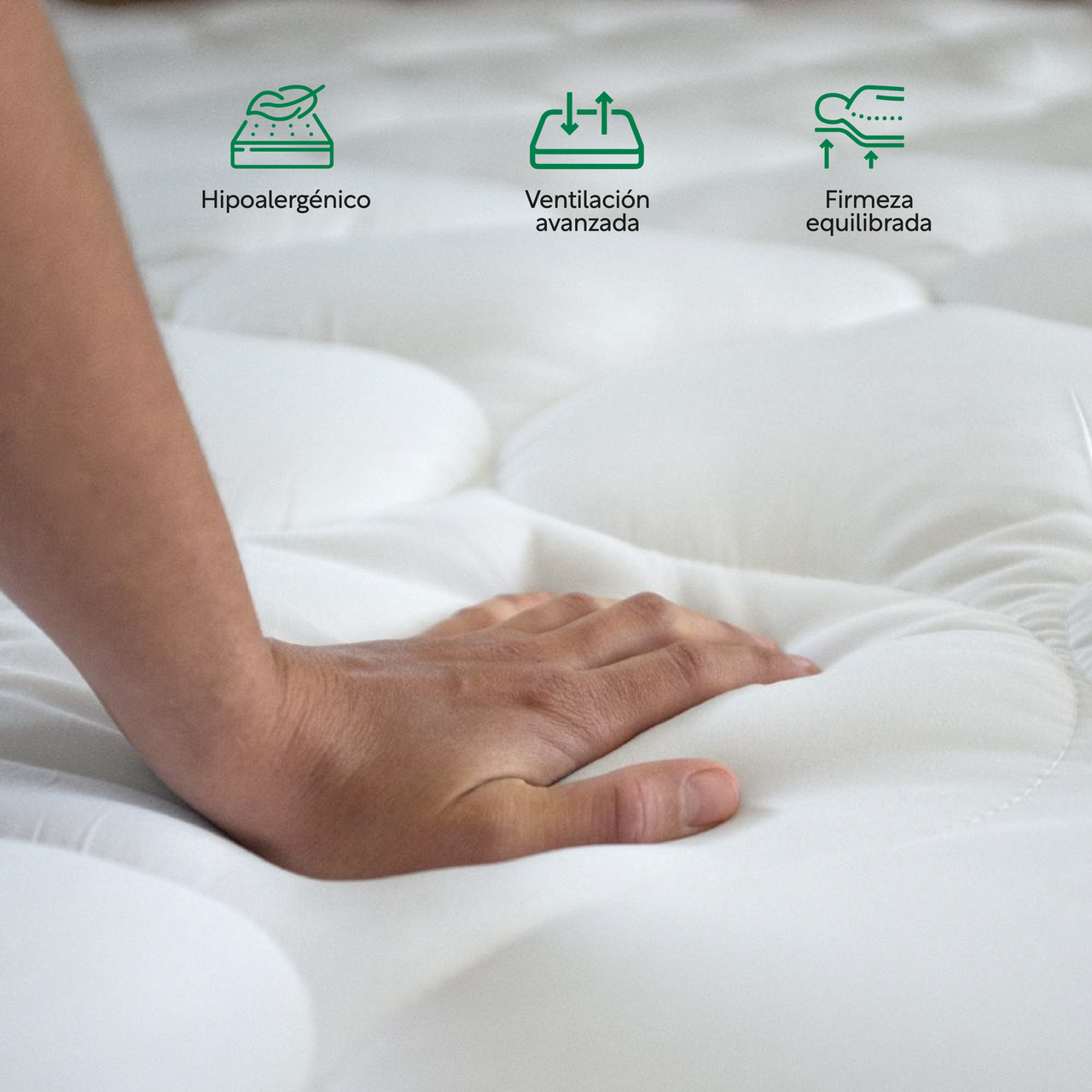 png_1500x1500_63681954