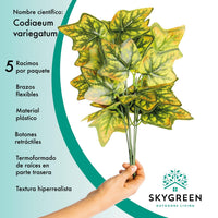 Thumbnail for jpg_1500x1500_57659462