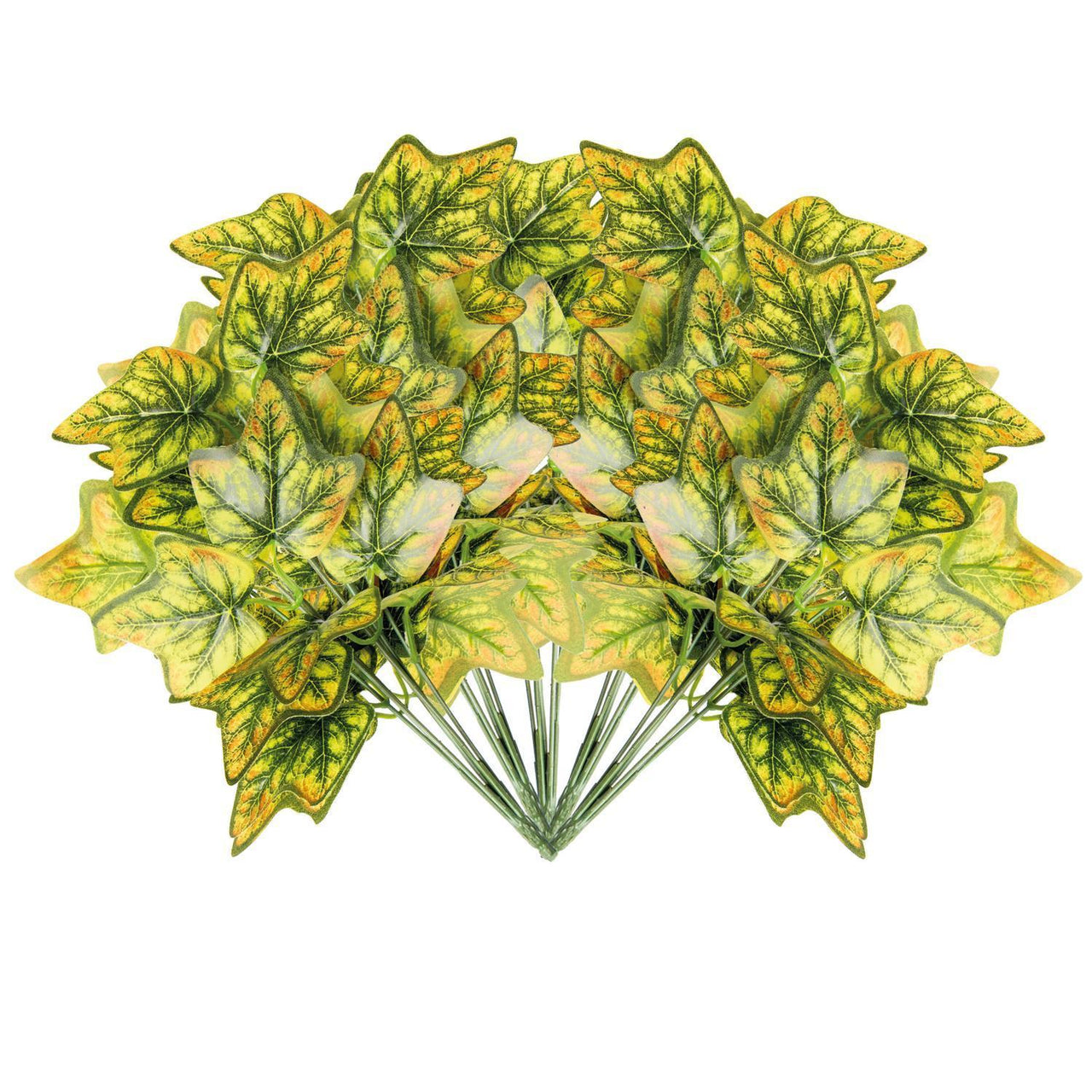 jpg_1500x1500_71288679