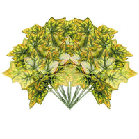 Thumbnail for jpg_1500x1500_71288679