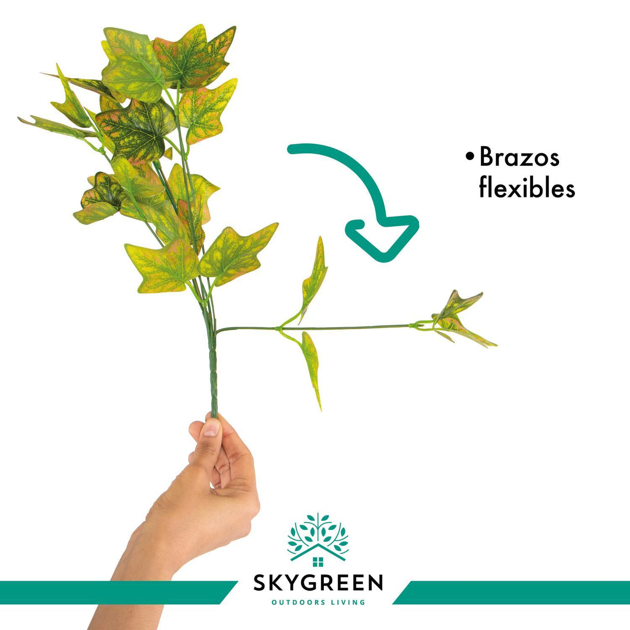 jpg_1500x1500_57659465