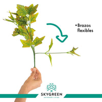 Thumbnail for jpg_1500x1500_57659465